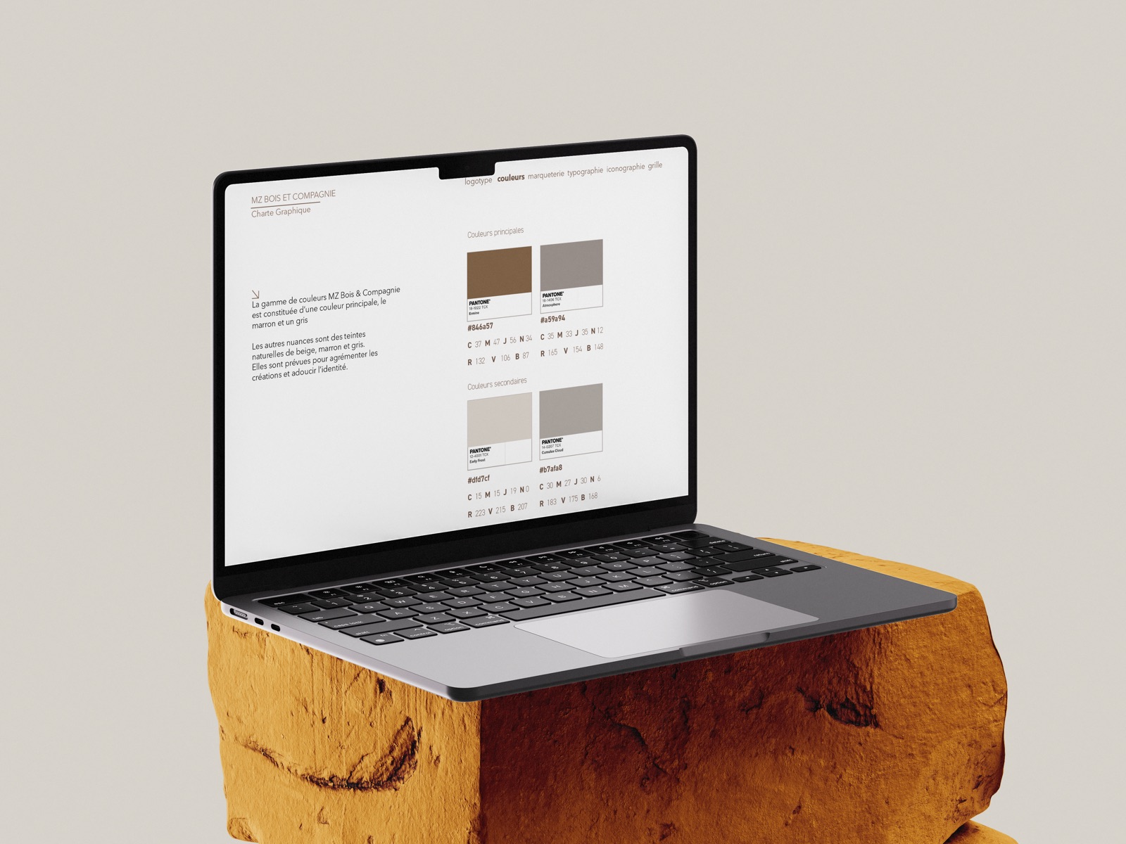 Charte graphique MZ Bois – couleurs